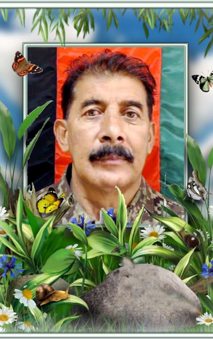 زندگی نامه شهید دگروال محمد آصف پیلوت