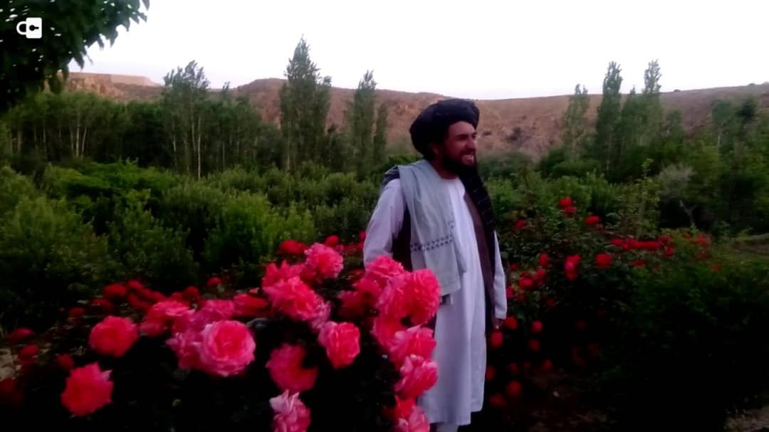 کشته شدن والی نامنهاد طالبان برای ولایت میدان وردک 